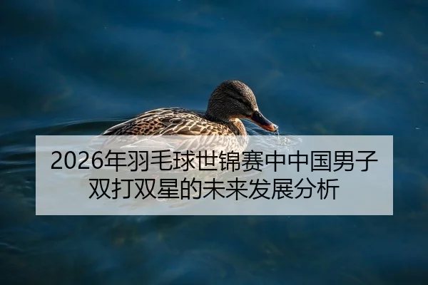 2026年羽毛球世锦赛中中国男子双打双星的未来发展分析